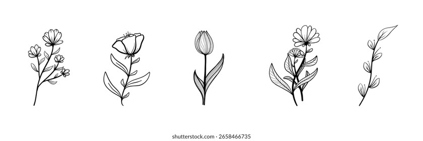 hand drawn floral decorative elements