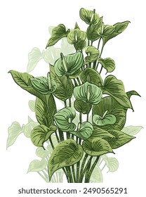 Ilustración vectorial decorativa floral dibujada a mano