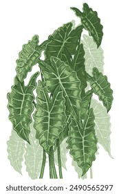 Ilustración vectorial decorativa floral dibujada a mano