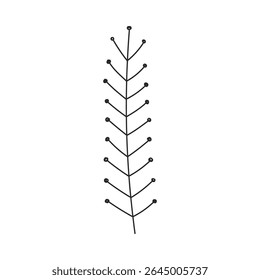 Desenho floral desenhado à mão. Galho vertical delicado com ramos esparsos. Elemento de design botânico simples em estilo de doodle linear. Vetor 10 EPS.