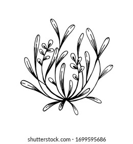 Hand drawn floral design element. Vector illustration in sketch style isolated on white