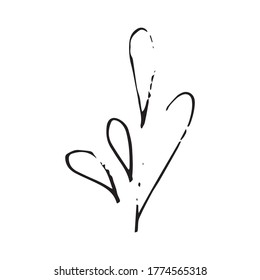 Hand drawn floral design element for concept design.
