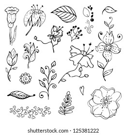 hand drawn floral design elements collection