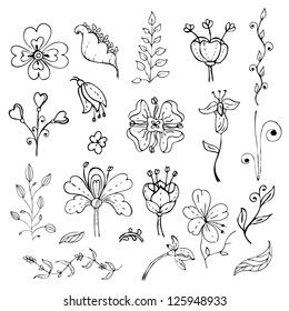 hand drawn floral design elements set