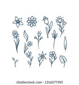 Hand drawn floral design elements set.
Leaves and flowers sketch drawing. Floral brushes.
