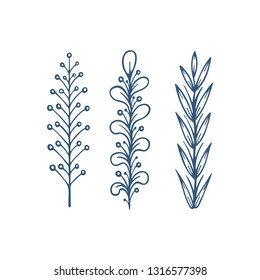 Hand drawn floral design elements set.
Leaves and flowers sketch drawing. Floral brushes.