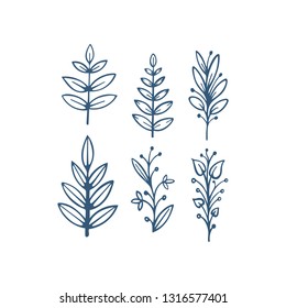 Hand drawn floral design elements set.
Leaves and flowers sketch drawing. Floral brushes.
