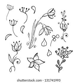 hand drawn floral design elements set