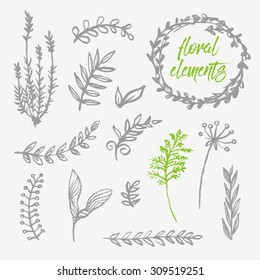 Hand drawn floral design elements