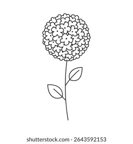 Hand drawn floral design. Monochrome illustration of abstract round inflorescence composed of many small flowers. Simple botanical element in linear doodle style. Vector 10 EPS.