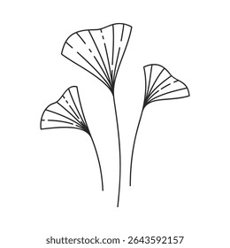 Hand drawn floral design. Monochrome illustration of a ginkgo biloba leaves isolated on a white background. Simple botanical element in linear doodle style.