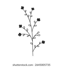 Hand drawn floral design. Thin botanical stem with little flowers. Simple botanical design element in linear doodle style. Vector 10 EPS.