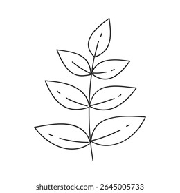 Desenho floral desenhado à mão. Galho vertical com folhas ovais em ambos os lados. Elemento de design botânico simples em estilo de doodle linear. Vetor 10 EPS.