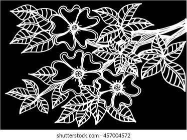 Hand drawn floral doodle. Coloring pages for book. Vector line art.