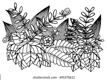 Hand drawn floral doodle. Coloring pages for book. Vector line art