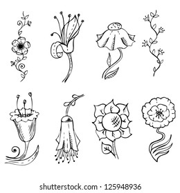 hand drawn floral element collection
