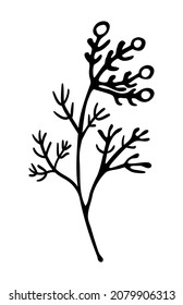 Hand drawn floral element for greeting cards, wedding invitations, poster design etc. Vector illustration on isolated background.