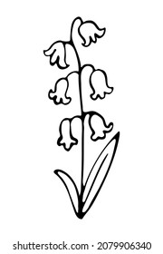 Elementos florales dibujados a mano para tarjetas de felicitación, invitaciones a bodas, diseño de afiches, etc. Ilustración vectorial sobre fondo aislado.