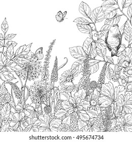 Hand drawn floral elements. Black and white flowers, plants, butterflies and sitting bird on branch. Monochrome vector sketch.