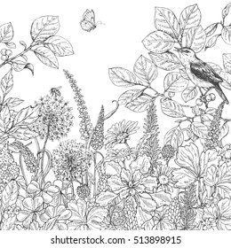 Hand drawn floral elements. Black and white flowers, plants, butterfly and sitting songbird on branch. Monochrome vector sketch.