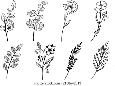 Hand drawn floral elements. Botanical set