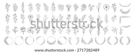 Hand drawn floral elements collection, botanical flowers leaves wreaths and circular frames, elegant vintage line art decorative set for wedding and invitation design on transparent background