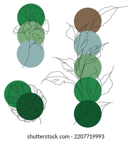 hand drawn floral elements with color swatch