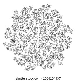 Hand drawn floral elements combined into round black and white arabesque. Print for textile, coloring book, background. Line art. Pen drawing. Outlined branches. Nature sketch. Vector illustration. 