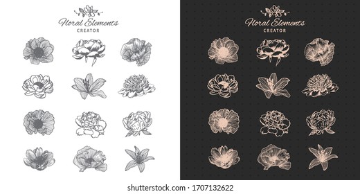 Hand drawn floral elements creator: roses, peony, poppy.