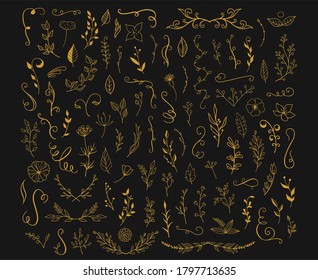 Handgezeichnete Blumenelemente.  Dekorative Elemente, die sich perfekt für die Gestaltung von Grußkarten, Einladungen, Mustern eignen.