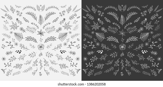 Hand Drawn Floral Elements Design