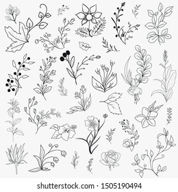 Hand Drawn Floral Elements Design Vector