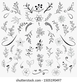 Hand Drawn Floral Elements Design Vector