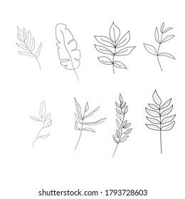 Hand drawn floral elements.  Different kind of leaves. Floral sketch collection. Decorative elements for design. Vintage botanical vector 
 illustrations.