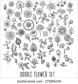 hand drawn floral elements, doodle, vector illustration