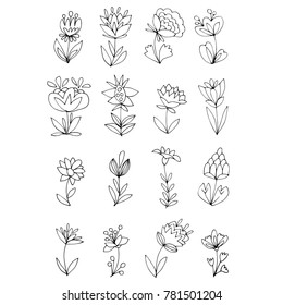 Hand drawn floral elements. Doodled flowers.