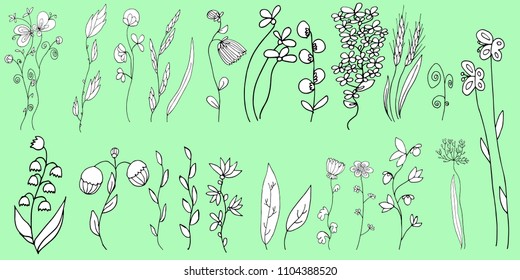 Hand drawn floral elements: flowers, branches, leaves, berries vector elements for decoration