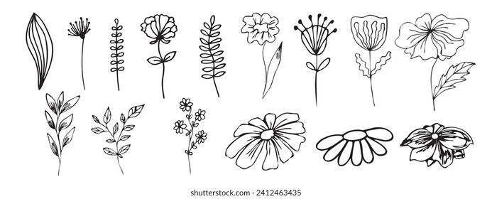 Hand drawn floral elements. Flowers Doodle. Elements for the design of postcards. Vector.