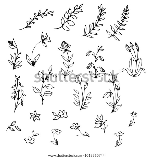 Hand Drawn Floral Elements Herbs Tree Stock Vector (Royalty Free ...