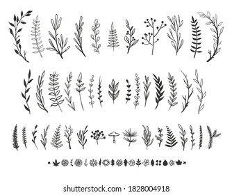 Hand drawn floral elements isolated on white. Vector flowers, leaves, herbs and plants on white background, rustic style. 