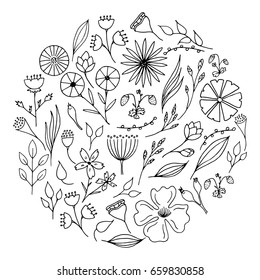 Hand drawn floral elements. Isolated herbs and flowers. Vector illustration in circle form.