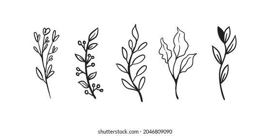 Hand drawn floral elements (laurels, leaves, flowers and branches). Wild and free. For invitations, greeting cards, Wedding Frames, posters. Nature ornaments.