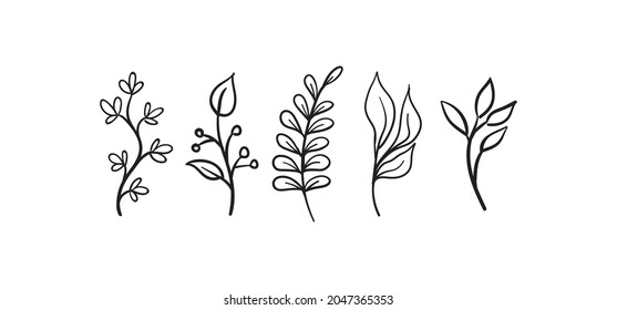 Hand drawn floral elements (laurels, leaves, flowers and branches). Wild and free. For invitations, greeting cards, Wedding Frames, posters. Nature ornaments.