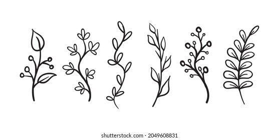 Elementos florales dibujados a mano (laureles, hojas, flores y ramas). Salvaje y libre. Para invitaciones, tarjetas de felicitación, marcos de boda, afiches. Ornamentos naturales.