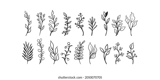 Hand drawn floral elements (laurels, leaves, flowers and branches). Wild and free. For invitations, greeting cards, Wedding Frames, posters. Nature ornaments.