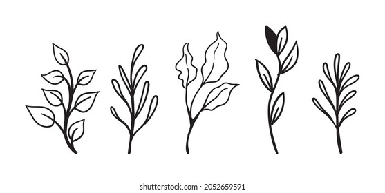 Hand drawn floral elements (laurels, leaves, flowers and branches). Wild and free. For invitations, greeting cards, Wedding Frames, posters. Nature ornaments.