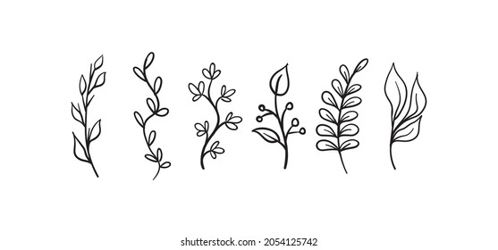 Hand drawn floral elements (laurels, leaves, flowers and branches). Wild and free. For invitations, greeting cards, Wedding Frames, posters. Nature ornaments.