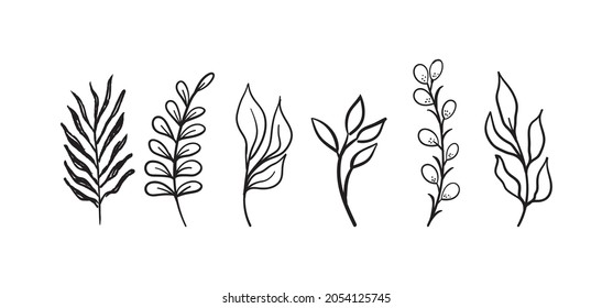 Hand drawn floral elements (laurels, leaves, flowers and branches). Wild and free. For invitations, greeting cards, Wedding Frames, posters. Nature ornaments.