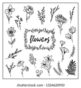 Hand drawn floral elements, leaves, flowers. Perfect for invitations, greeting cards, quotes, blogs, wedding frames, posters. Vector hand drawn. 