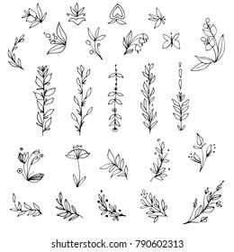 Hand drawn floral elements, leaves and branches. Black and white botanical drawings.